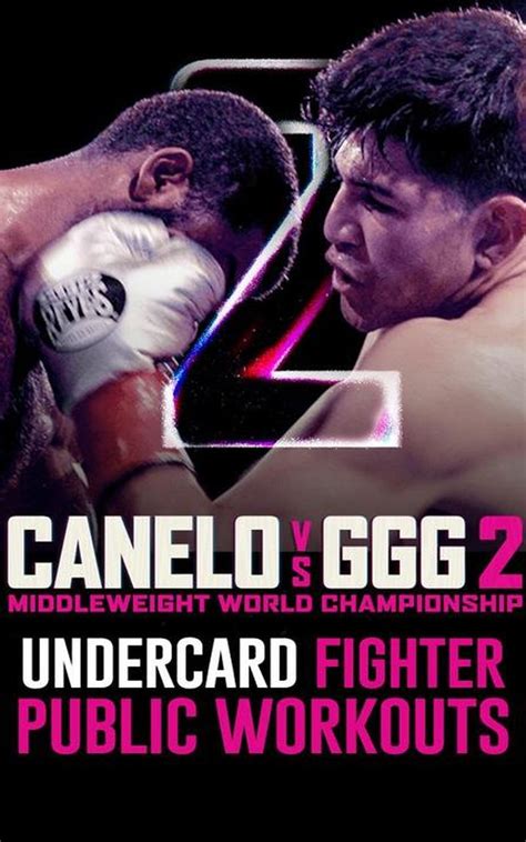 who won canelo vs ggg 2|canelo vs ggg undercard.